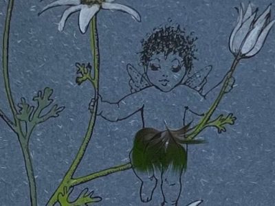 Flannel Flower Fairy