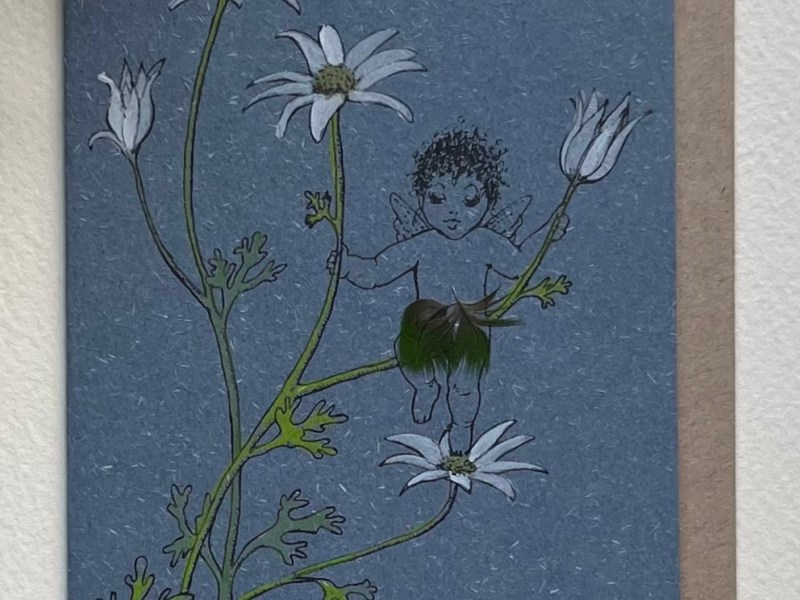 Flannel Flower Fairy